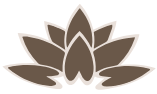 Favicon - Esthétique Novani Favicon - Clinique d'Esthétique - Rive-Sud de Montréal, Longueuil et Brossard - Novani